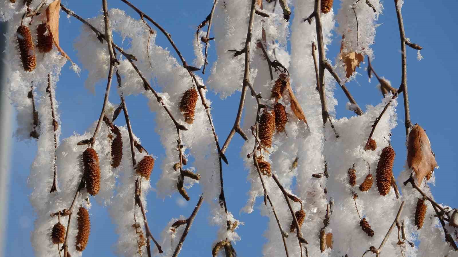 ardahanda sibirya soguklari devam ediyor 0 ECgAWdfw