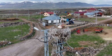 ardahanin-agzipek-koyu-leyleklerin-ugrak-noktasi-oldu-zJ1Ip5O5.jpg