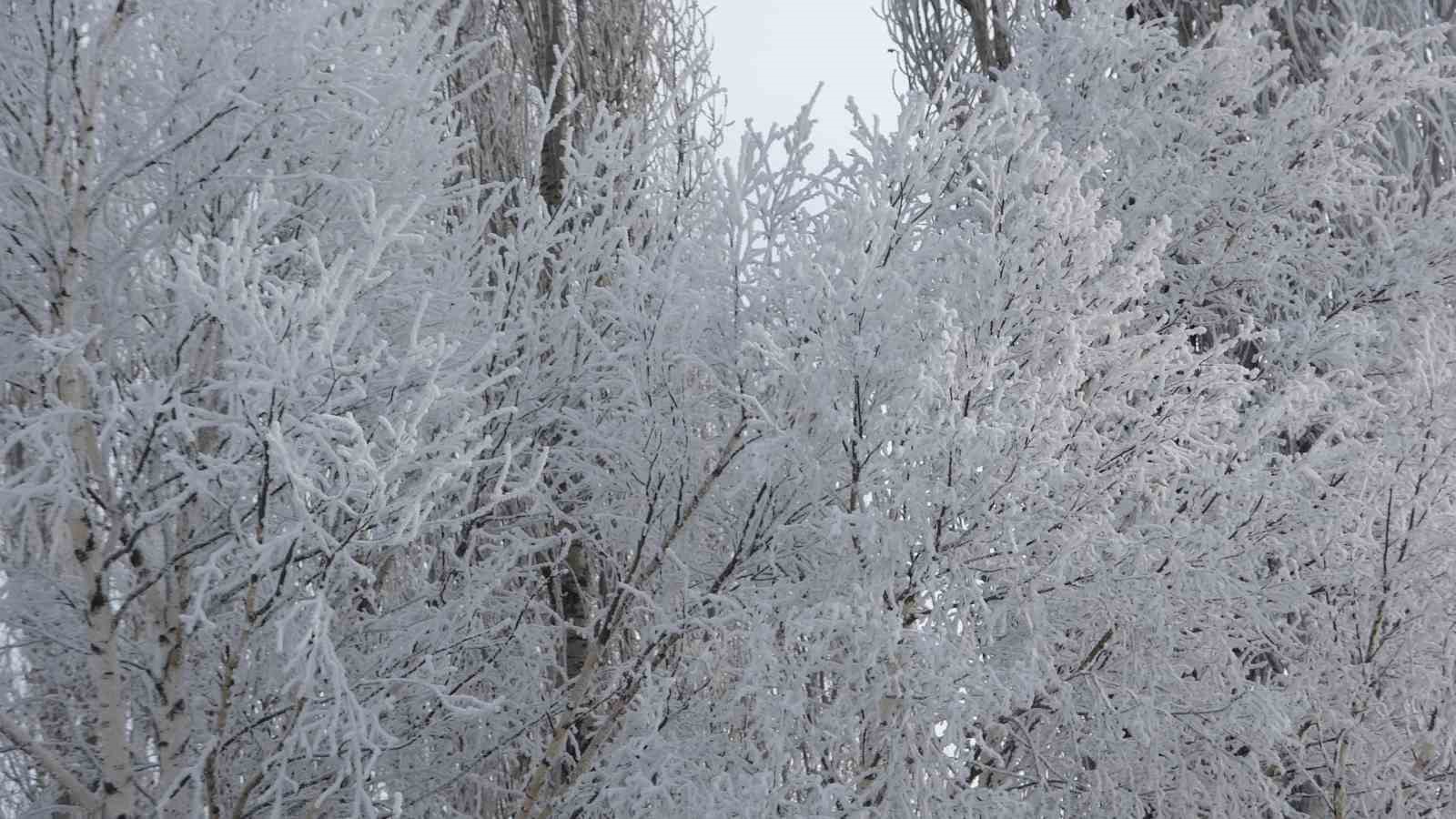 ardahanin gole ilcesi turkiyenin en soguk yerlesim yeri oldu 12 6sepitqb
