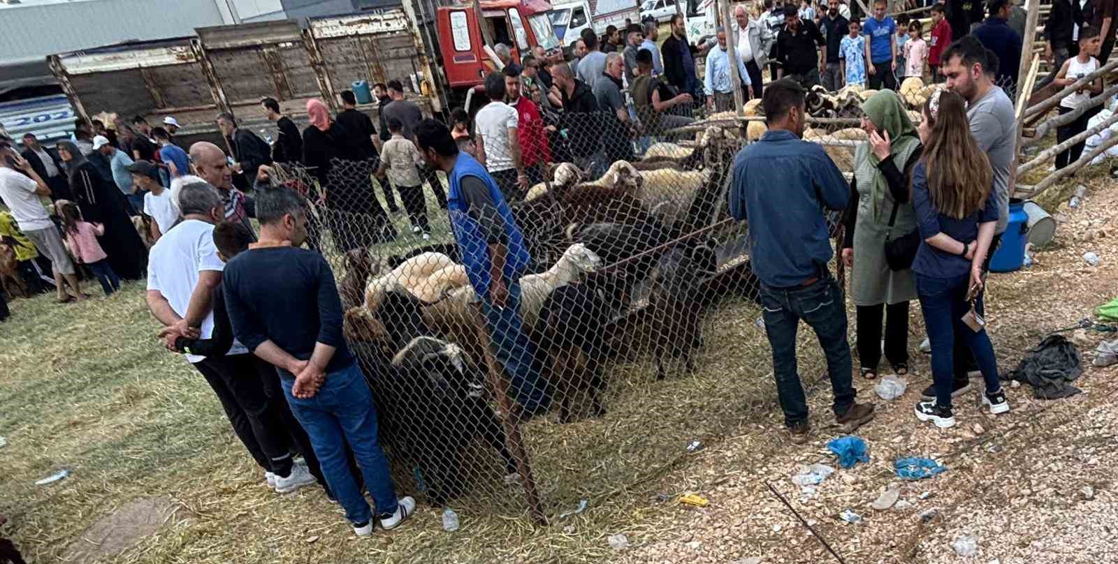 Arefe günü Gaziantep’teki kurban pazarlarında yoğunluk had safhaya çıktı 10 arefe gunu gaziantepteki kurban pazarlarinda yogunluk had safhaya cikti 6 gmZzn1fE