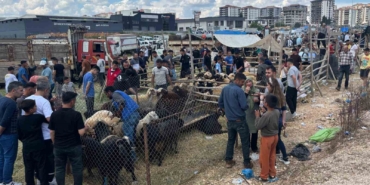 arefe-gunu-gaziantepteki-kurban-pazarlarinda-yogunluk-had-safhaya-cikti-7UQOjfyK.jpg
