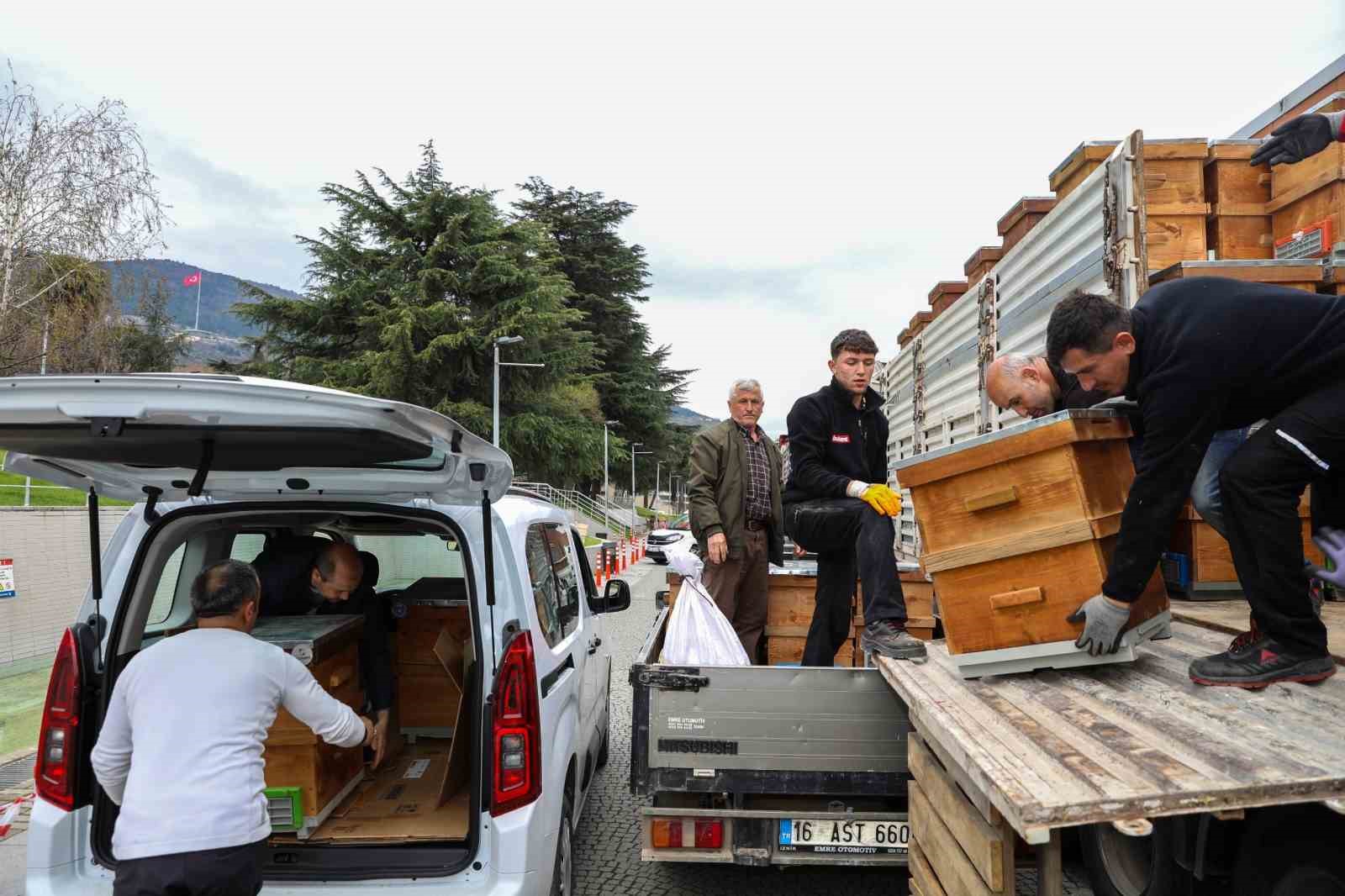 aricilik bursada buyuksehir ile canlandi 1 95gAUmpd