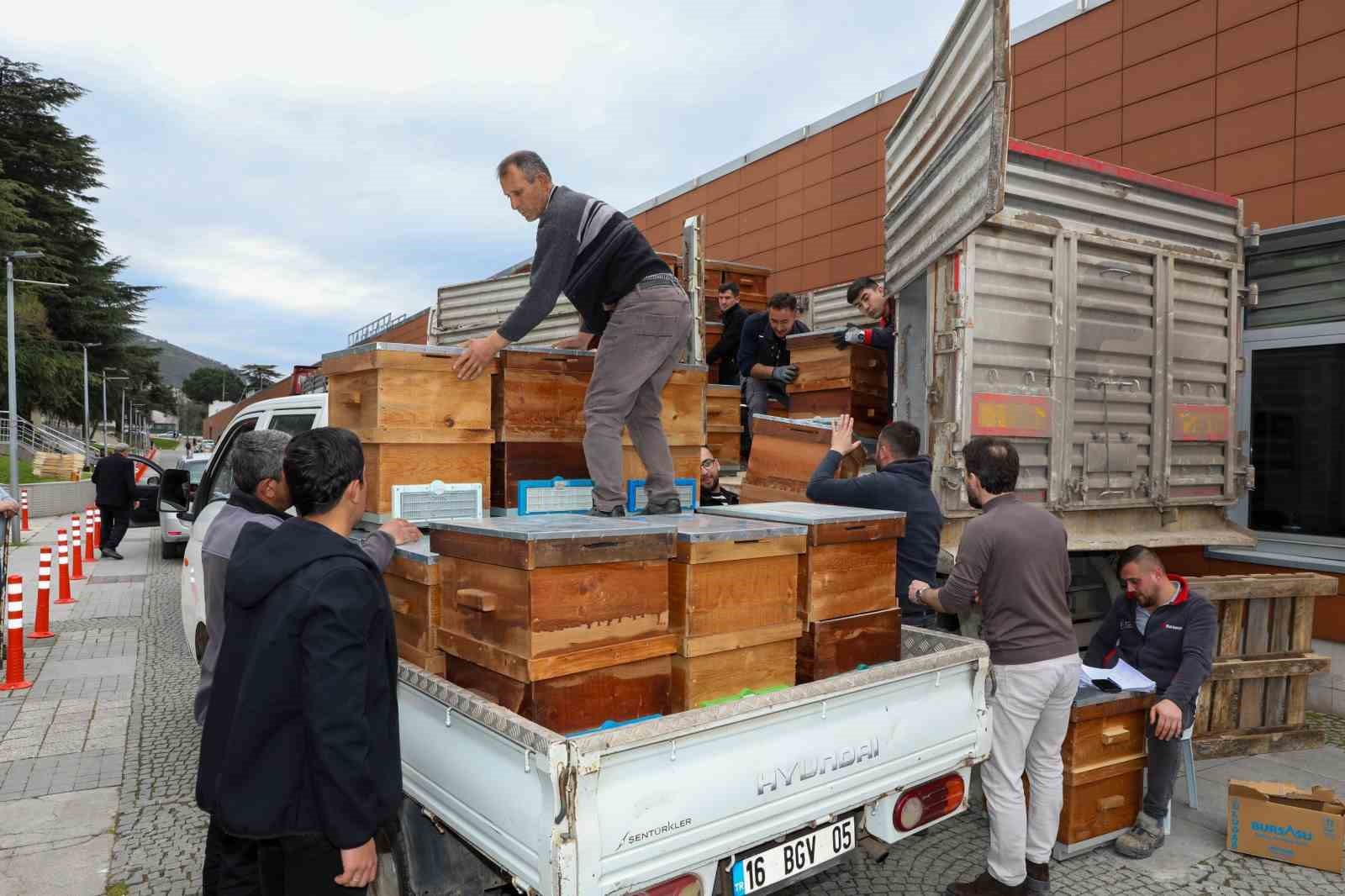aricilik bursada buyuksehir ile canlandi 3 YNHDLjt8