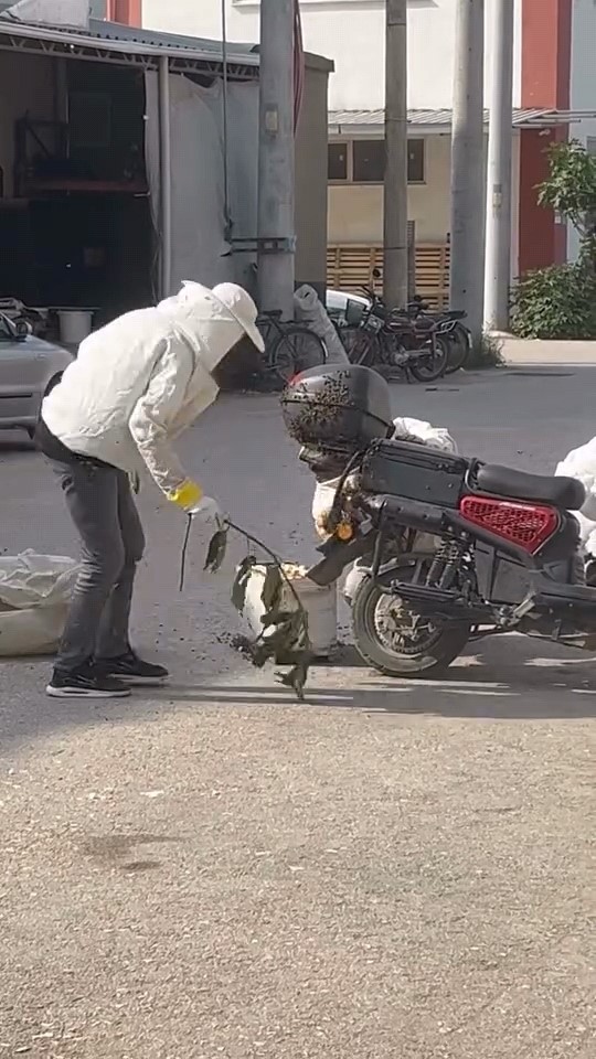 arilar motosiklette ogul verdi 1 NRkF1uAQ
