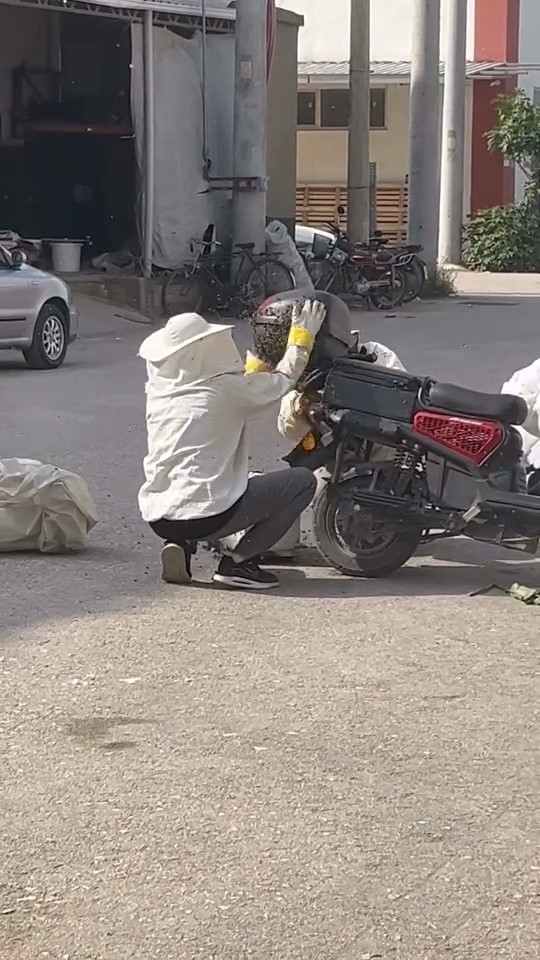 arilar motosiklette ogul verdi 2 9BKsO3aJ