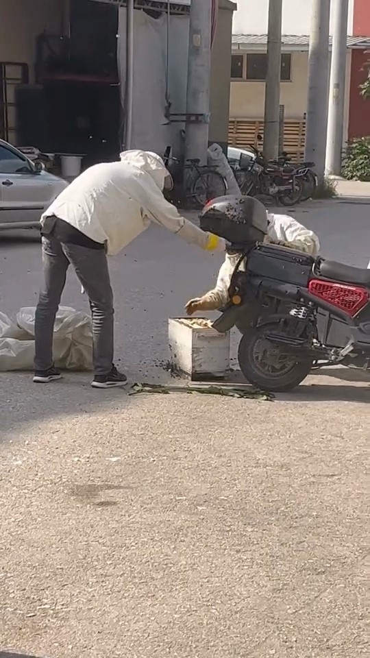 arilar motosiklette ogul verdi 3 dTEYS843