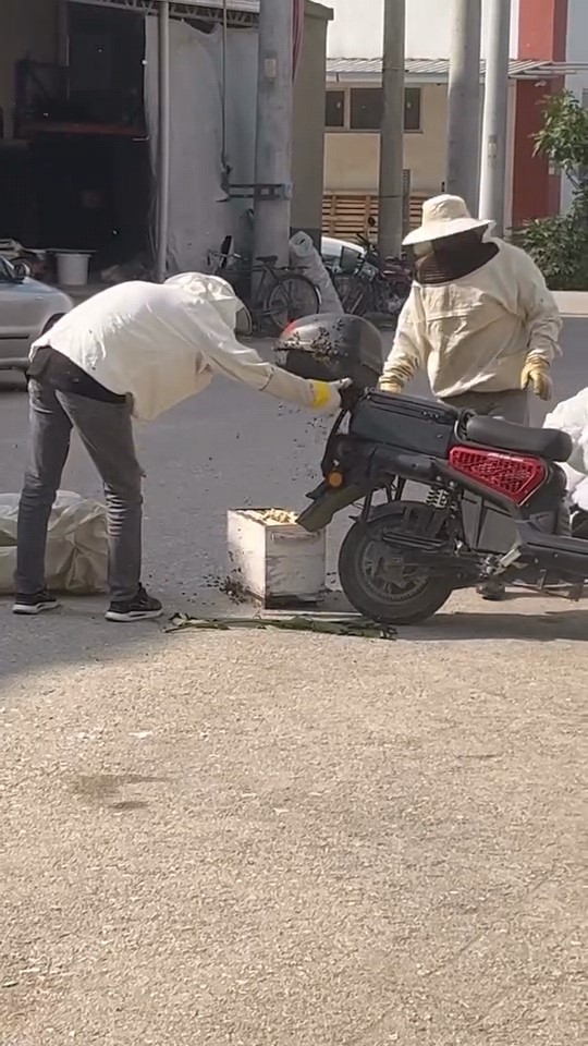 arilar motosiklette ogul verdi 4 qgP5OkJJ