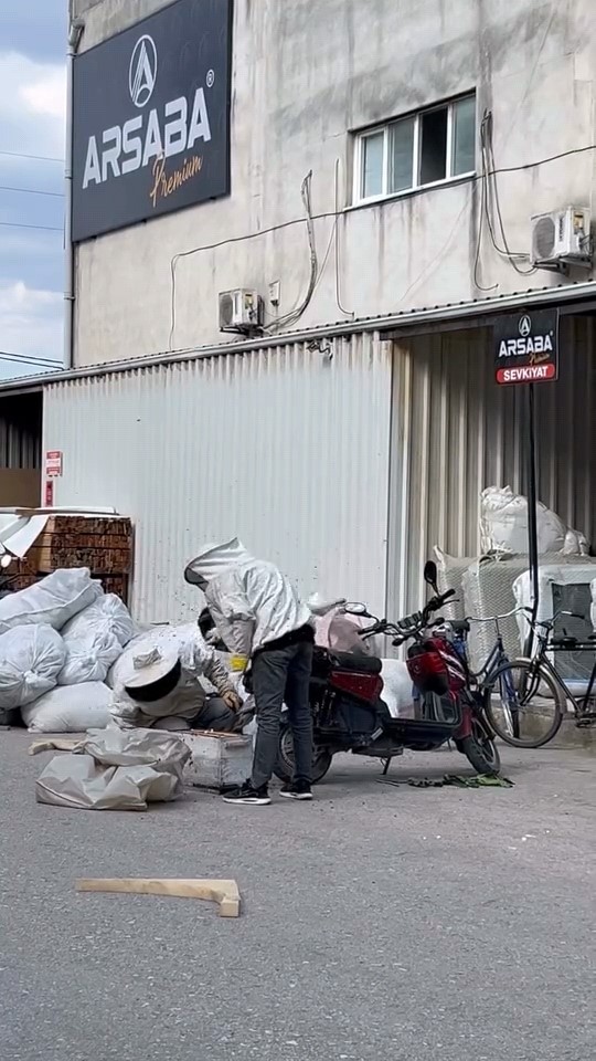 arilar motosiklette ogul verdi 5 XBj7zMcs