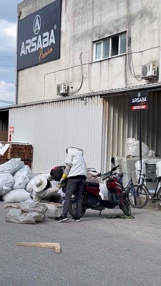 arilar motosiklette ogul verdi 6 nde9Rm3c
