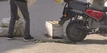 arilar-motosiklette-ogul-verdi-WDykQ1eR.jpg