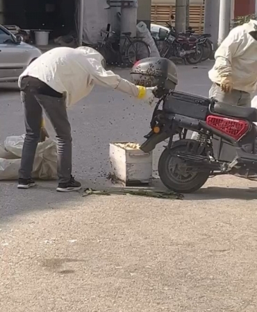 arilar-motosiklette-ogul-verdi-WDykQ1eR.jpg