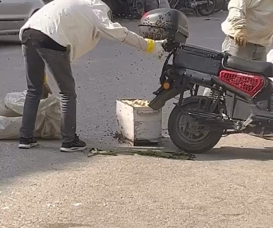 arilar-motosiklette-ogul-verdi-WDykQ1eR.jpg