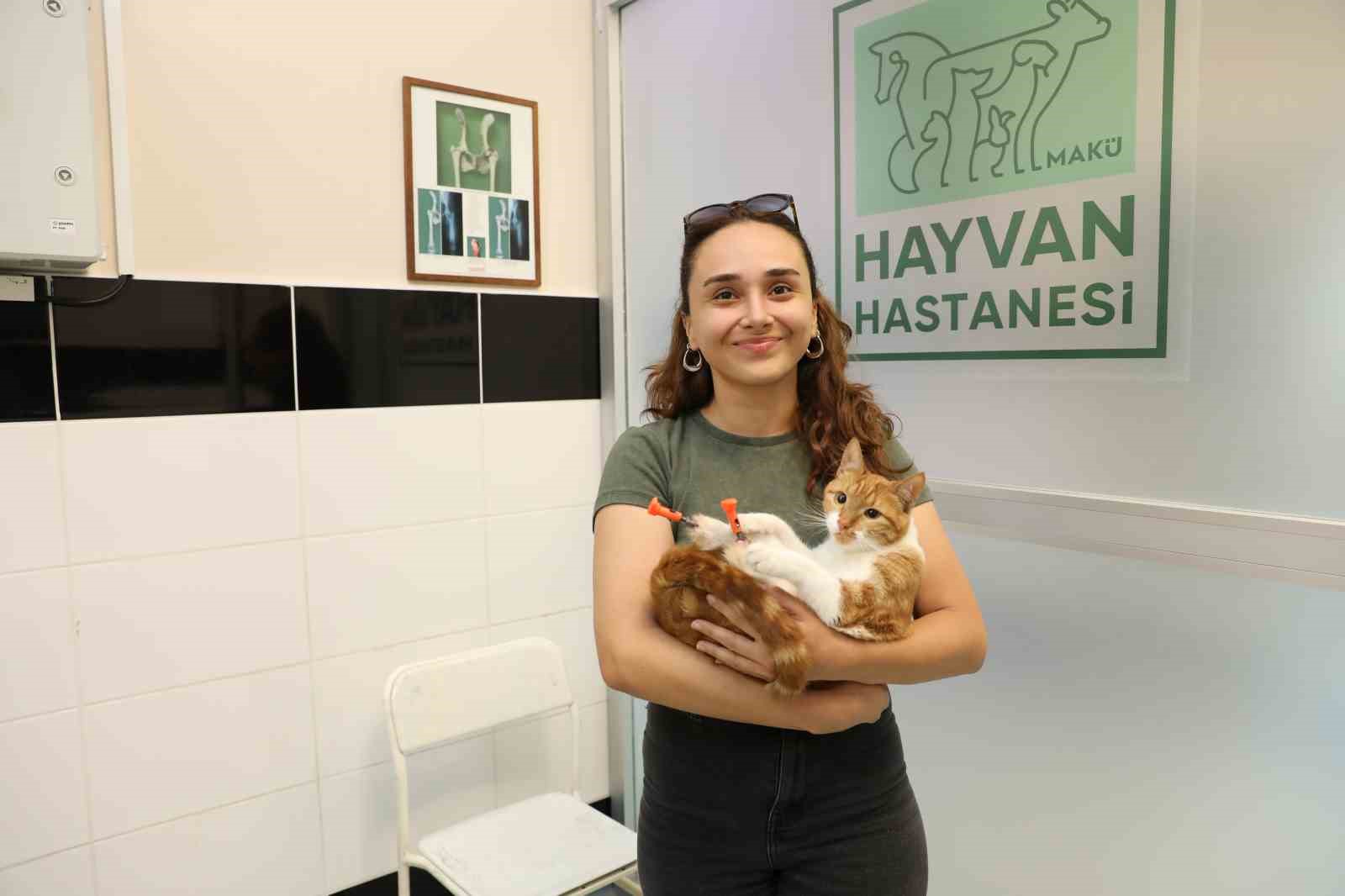 arka 2 patisi ampute edilen balima 3 boyutlu ozel tasarlanan protez 5 KpCCPwuN