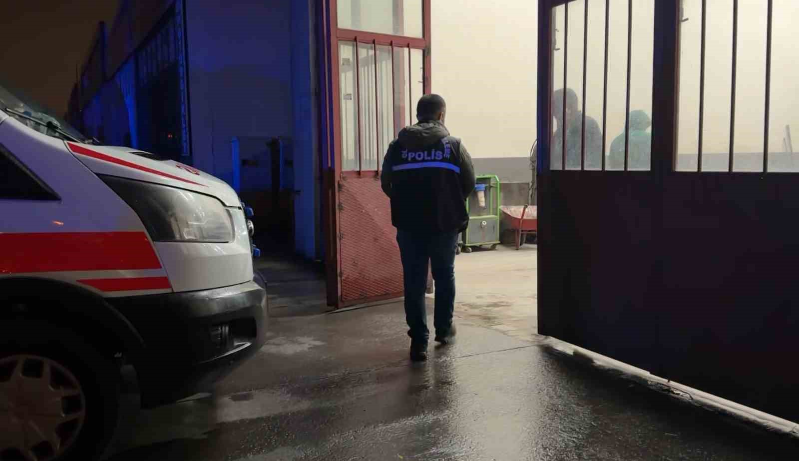 arkadasinin mudahalesiyle kurtarilmisti 8 ay sonra canina kiydi 1 XqgWXCye