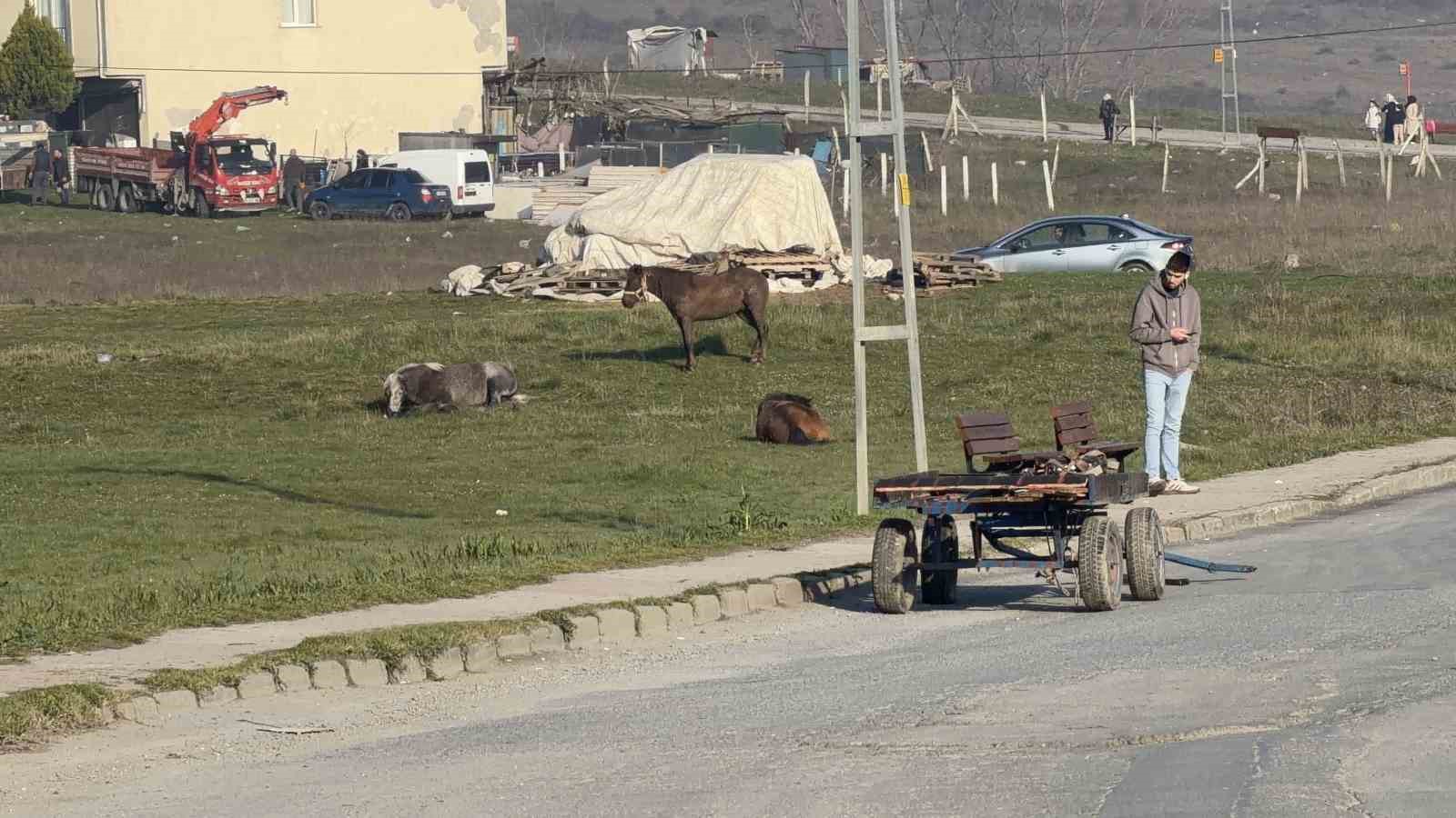 arnavutkoyde basibos at otomobillere carpti 2 arac hasar aldi 4 4UN6tDUq