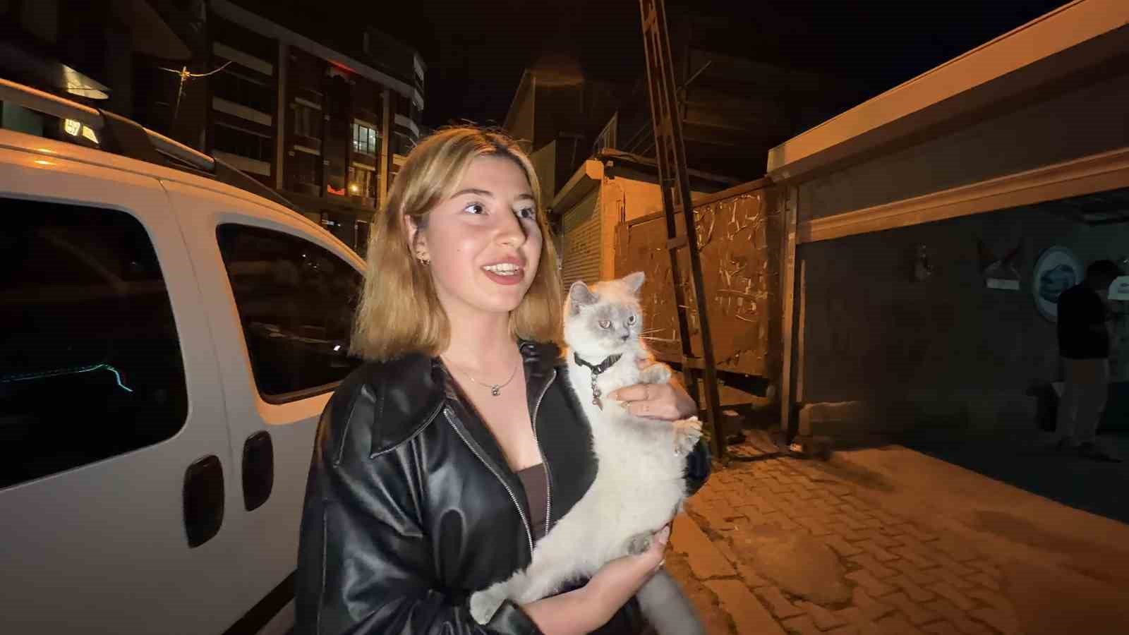 arnavutkoyde cins kediyi caldilar 1 lunhzUKi