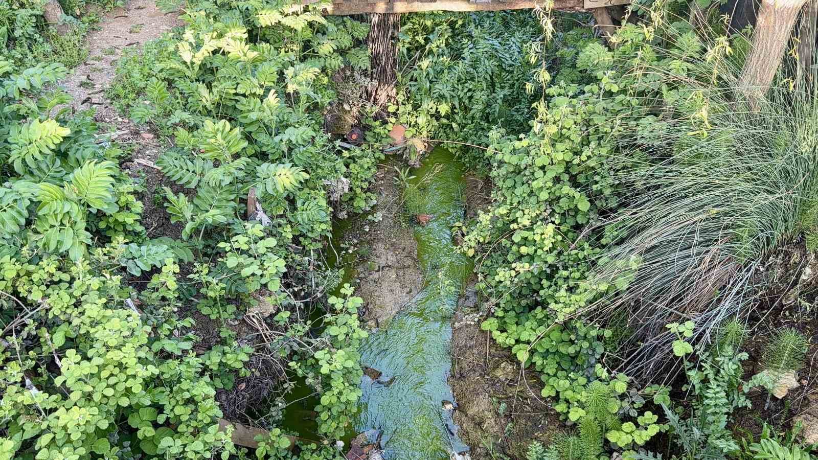 arnavutkoyde dereden akan yesil su mahalleliyi tedirgin etti 4 nQbkw8rN
