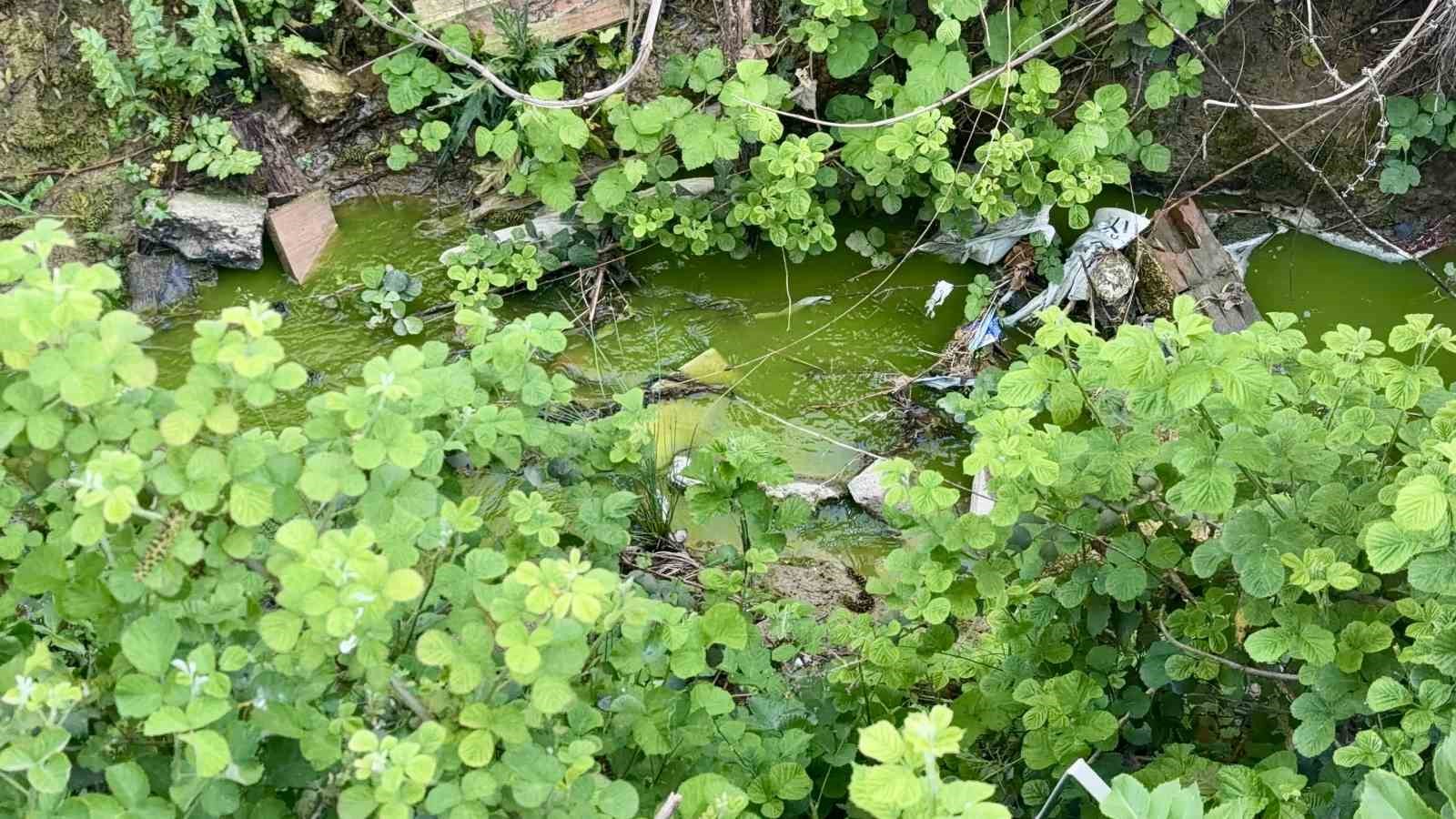 arnavutkoyde dereden akan yesil su mahalleliyi tedirgin etti 5