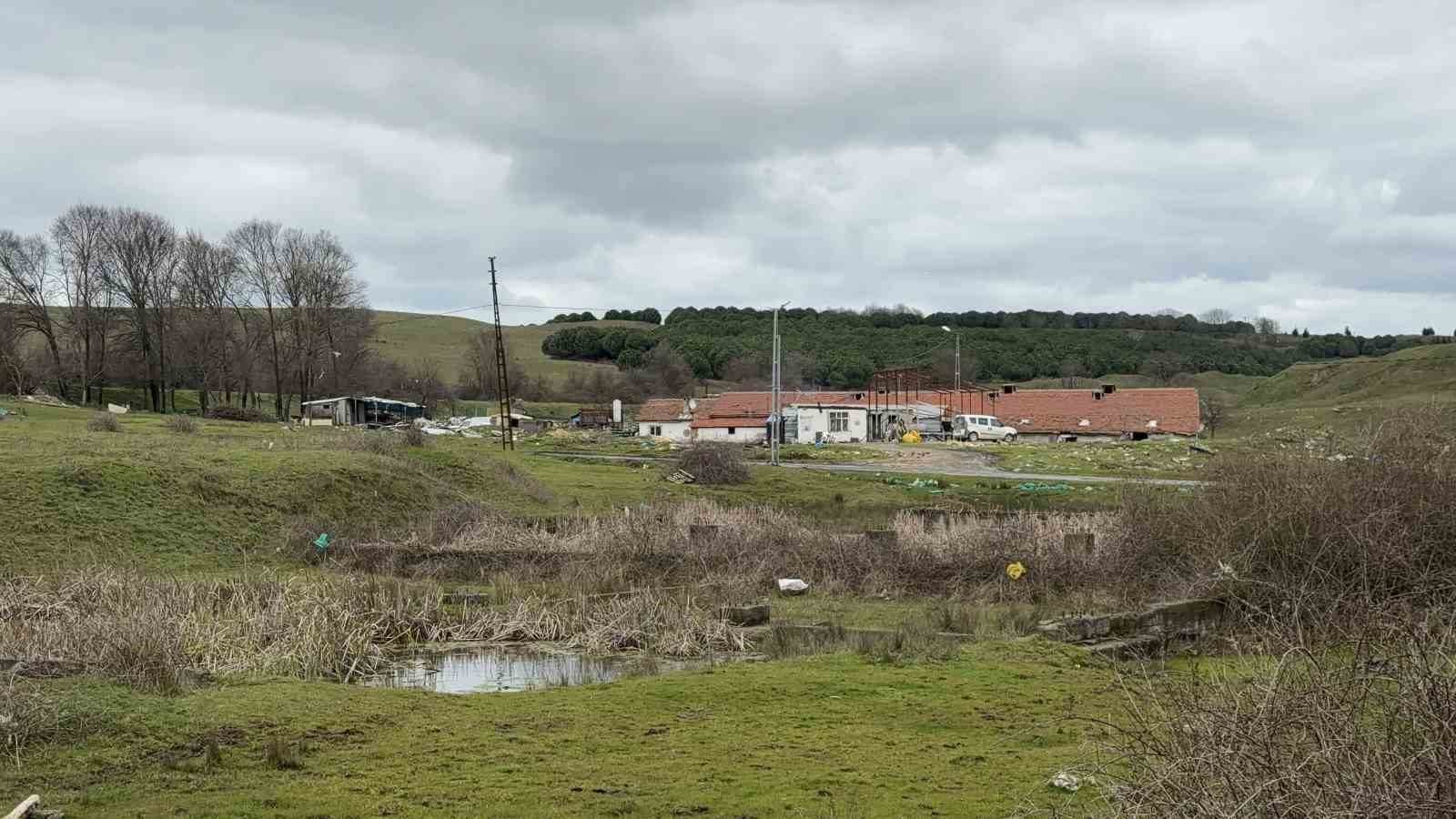 arnavutkoyde elektrikli testereli saldiri ciftlik evinde dehset 0 Wq3MOBOu