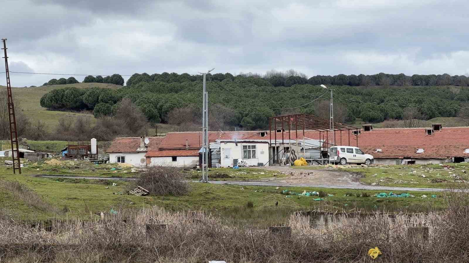 arnavutkoyde elektrikli testereli saldiri ciftlik evinde dehset 1 wCWwtqvb
