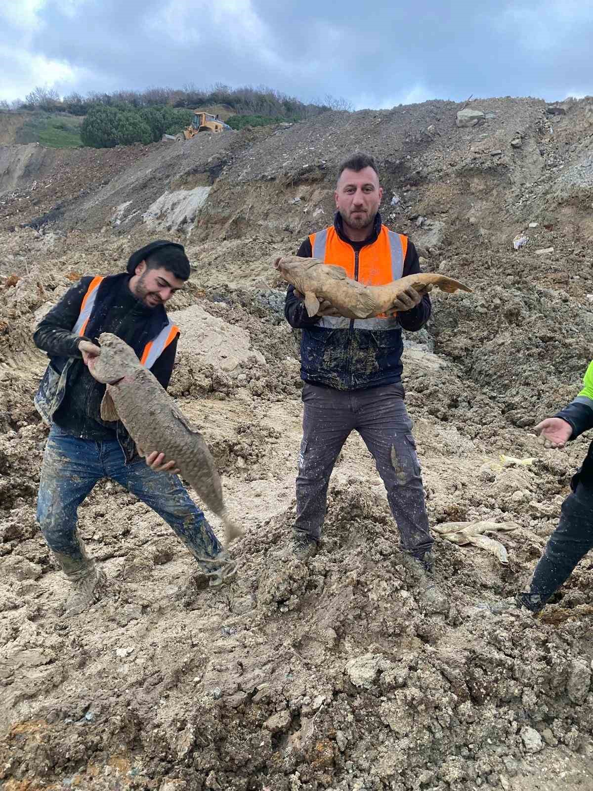 arnavutkoyde ibbnin dokum sahasina cevirdigi mavi golde baliklar can cekisiyor 0 3jCuF221