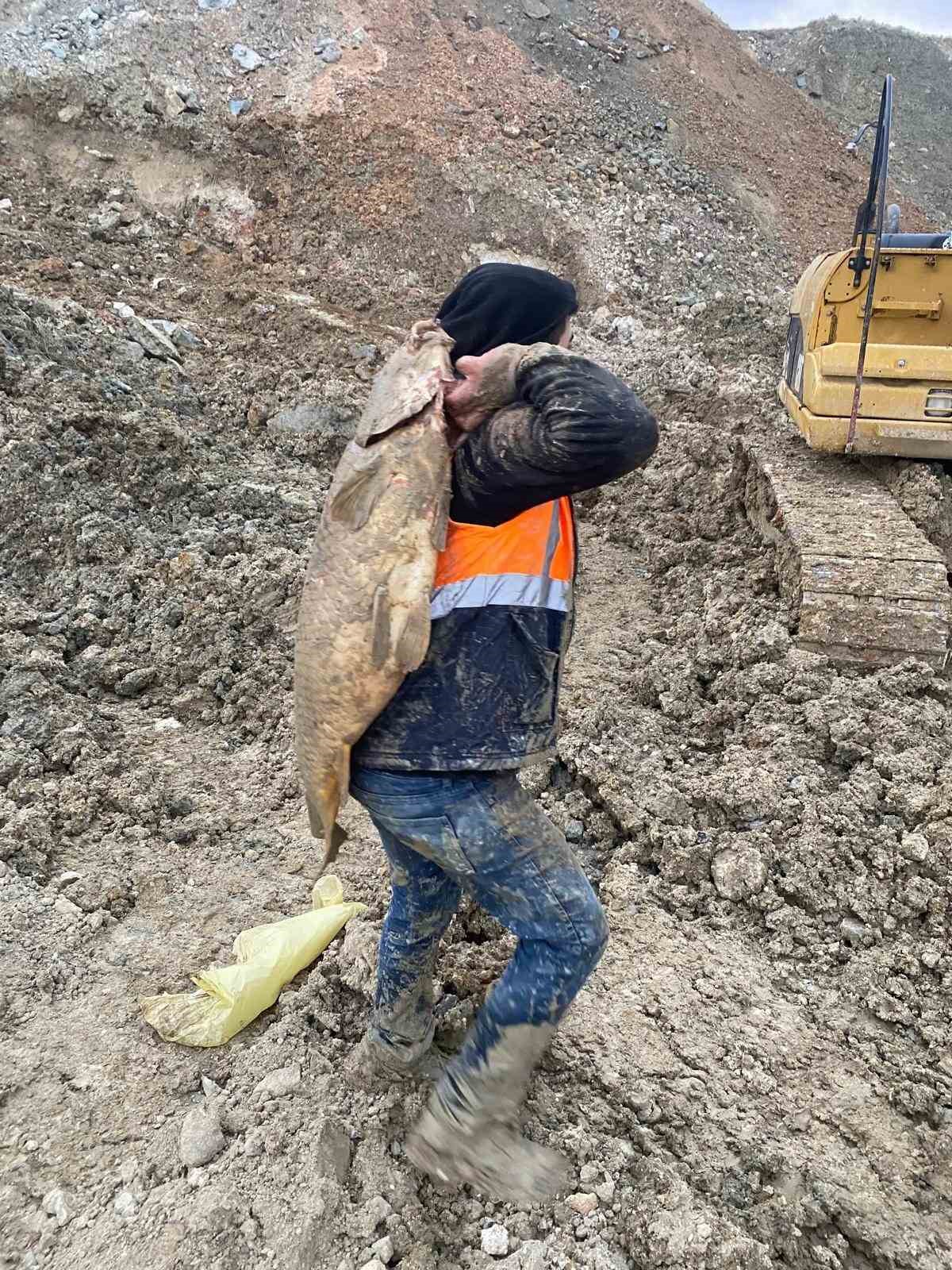 arnavutkoyde ibbnin dokum sahasina cevirdigi mavi golde baliklar can cekisiyor 4 iSTkya7s