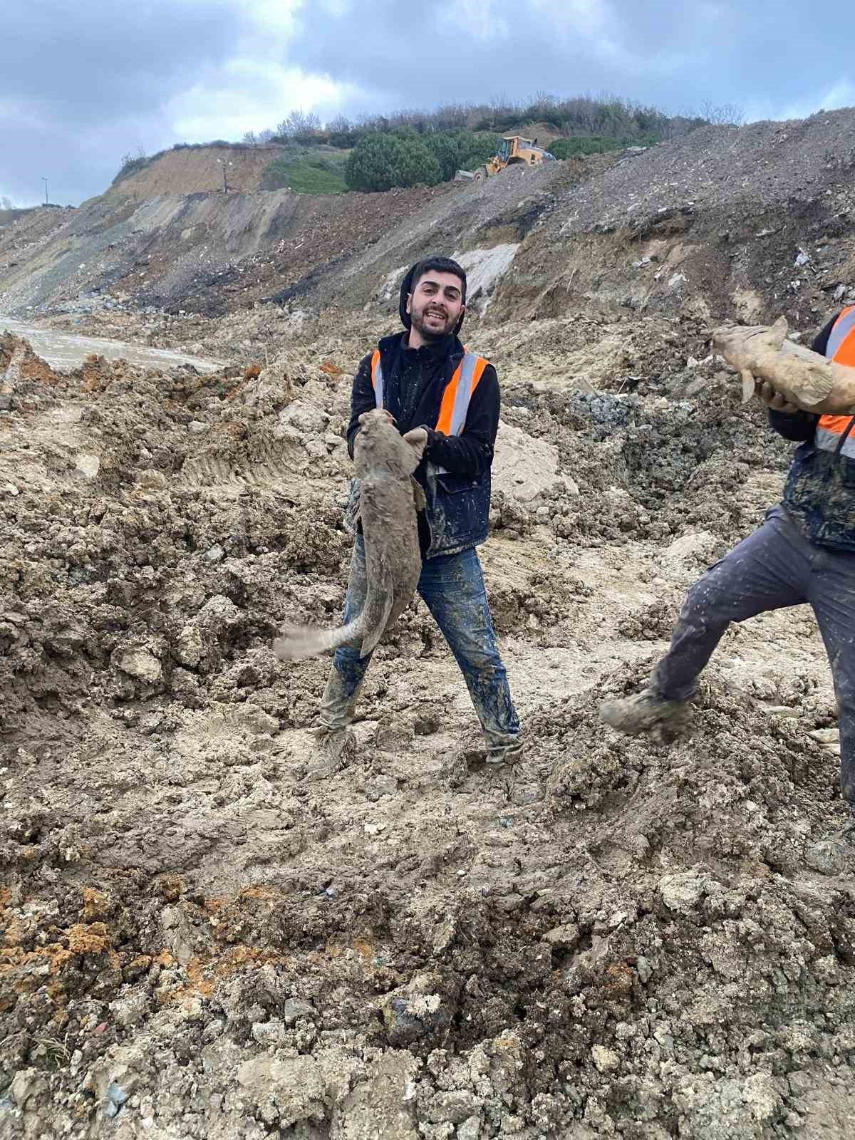 arnavutkoyde ibbnin dokum sahasina cevirdigi mavi golde baliklar can cekisiyor 6 8iZWdj2n