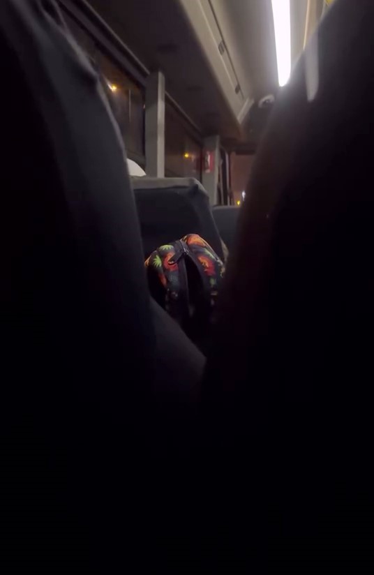 arnavutkoyde minibus soforunden skandal sozler 0 OMJCWNKT