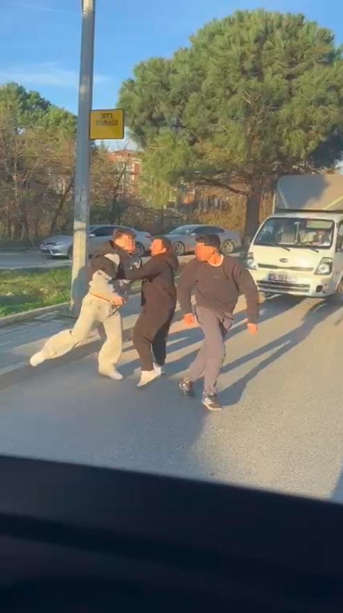arnavutkoyde trafikte yumruklu kavga kamerada cadde boks ringine dondu 2 CnZpyBCk