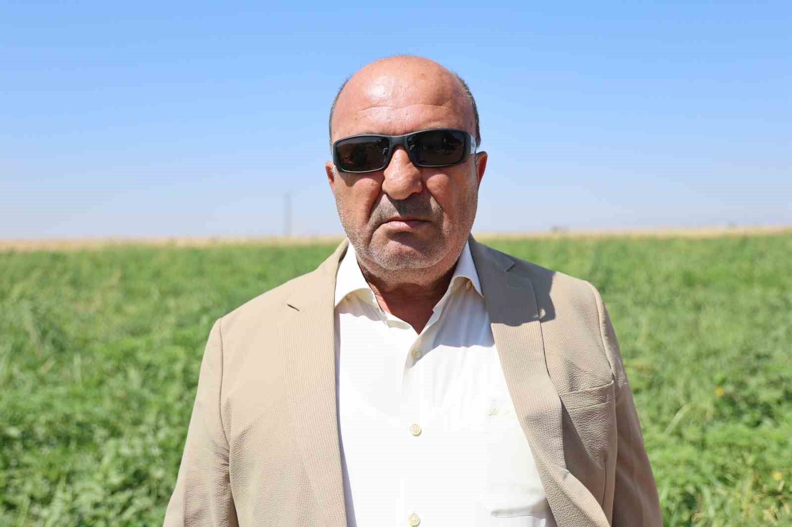 Aromasını Karacadağ’ın verimli topraklarından alan Diyarbakır karpuzunda hasat 7 aromasini karacadagin verimli topraklarindan alan diyarbakir karpuzunda hasat 3 96AwGRU4
