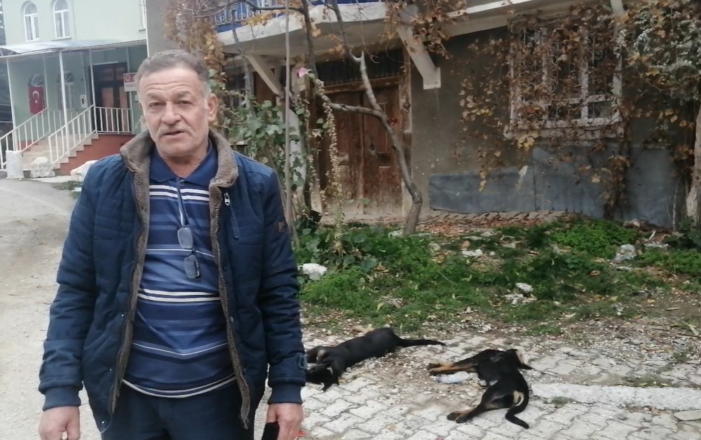 art arda yasanan kopek olumleri sonrasi muhtardan yalvac belediyesine tepki 3