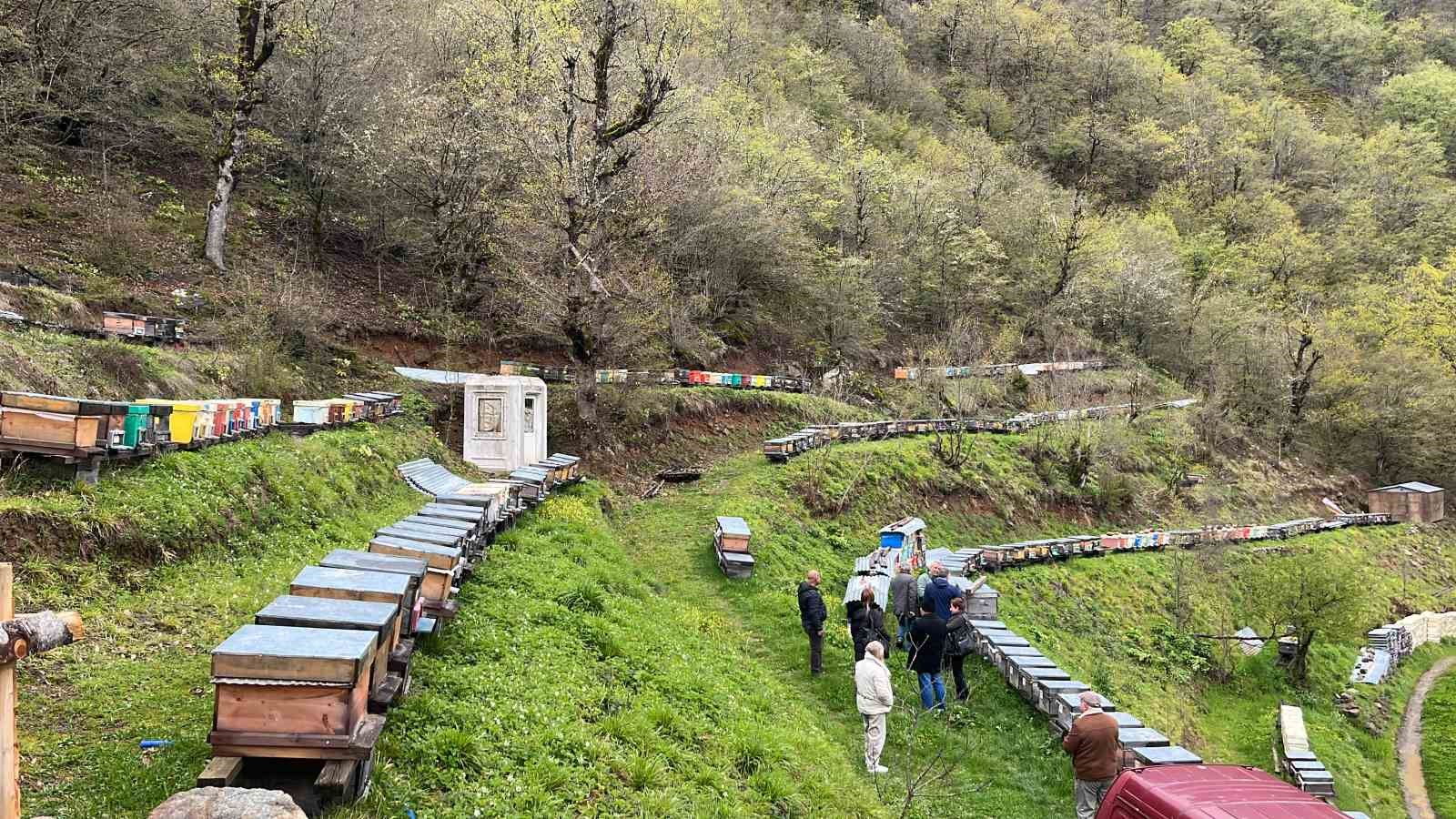 artvin apiturizmde gelecek vadediyor 0 cqsAgVE7
