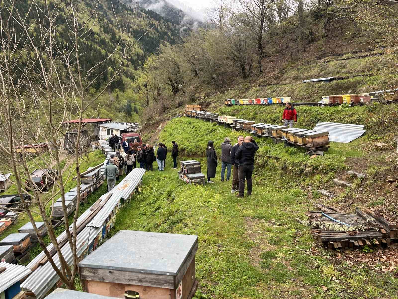 artvin apiturizmde gelecek vadediyor 4 8dQzw5Dv