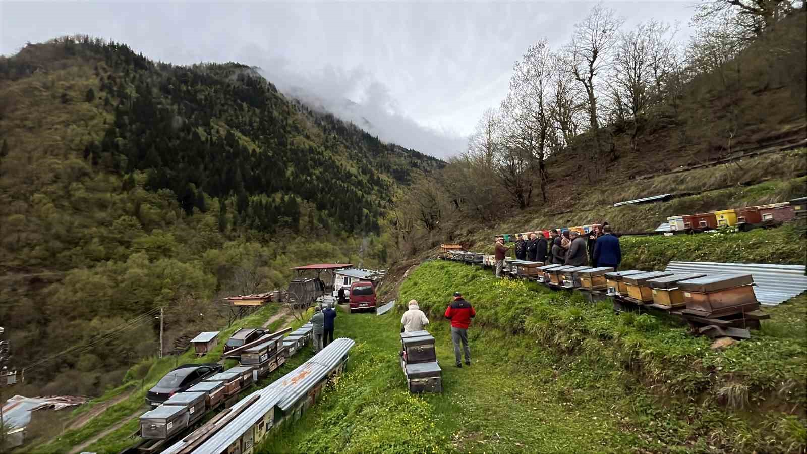 artvin apiturizmde gelecek vadediyor 7 OSjR8N4k