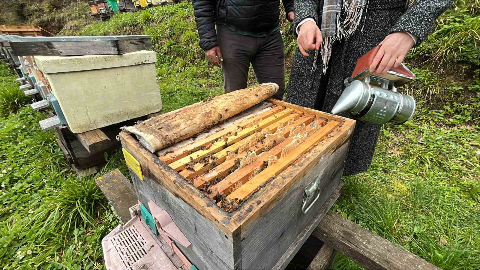 artvin apiturizmde gelecek vadediyor 9 hnI8ZXgi