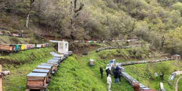 artvin-apiturizmde-gelecek-vadediyor-c2hE9kdC.jpg