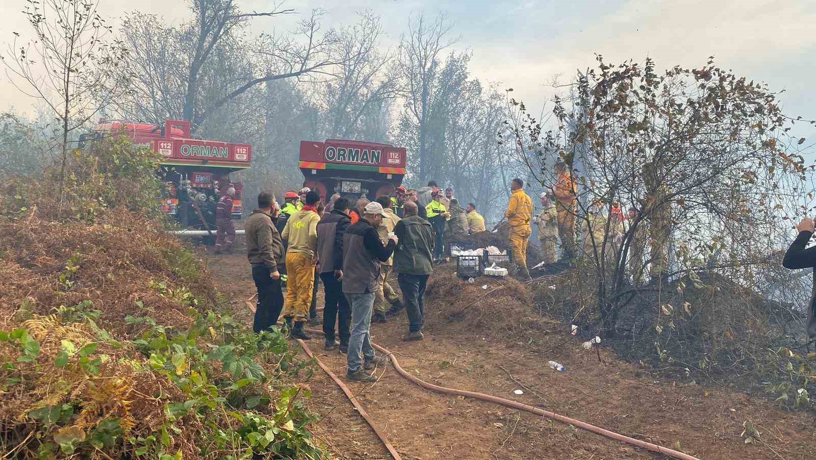 artvin hopada 5 hektarlik alani kule ceviren yanginla mucadele suruyor 4 61z7gvwM