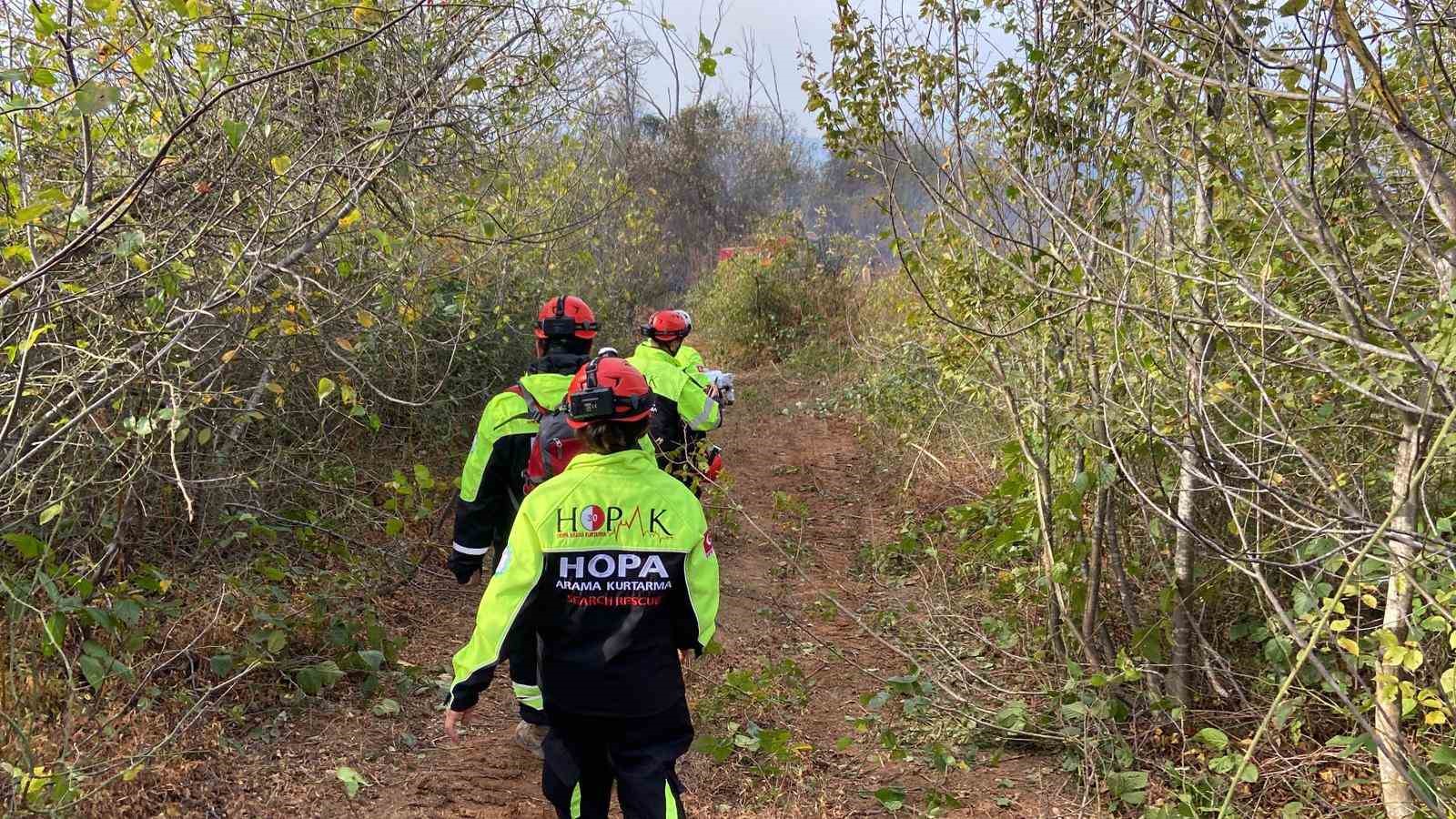 artvin hopada 5 hektarlik alani kule ceviren yanginla mucadele suruyor 5 CiFyHuNb