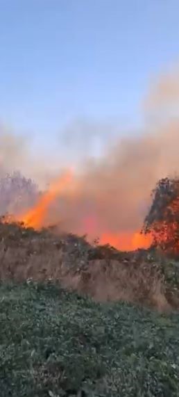 artvin hopada ziraat alaninda cikan yangin ormana sicradi 3 Oga1dE54