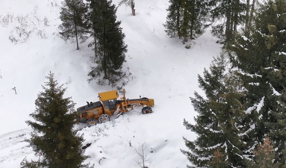 artvin orman bolge mudurlugunden karla mucadeleye destek 2 5SKFLQf6