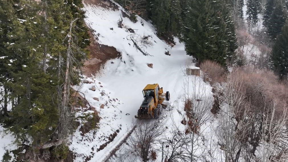 artvin orman bolge mudurlugunden karla mucadeleye destek 4 LCcu83hw