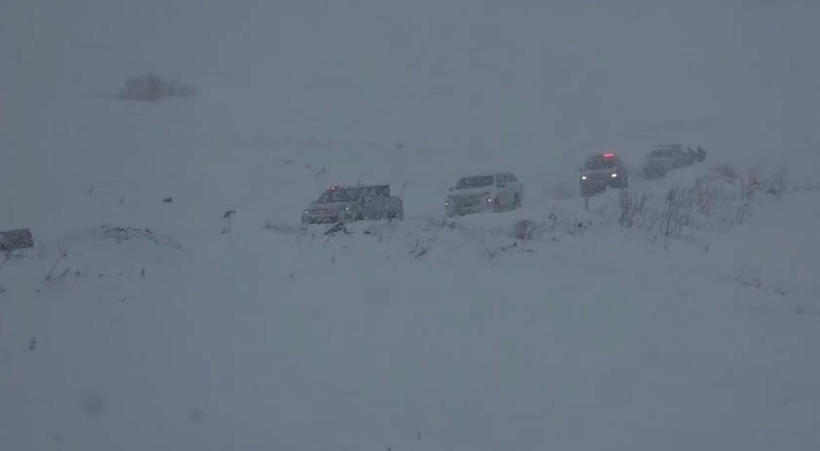 artvin valisi turan ergun 3 cobanin cig altinda kaldigi yonunde bir bilgi geldi 2