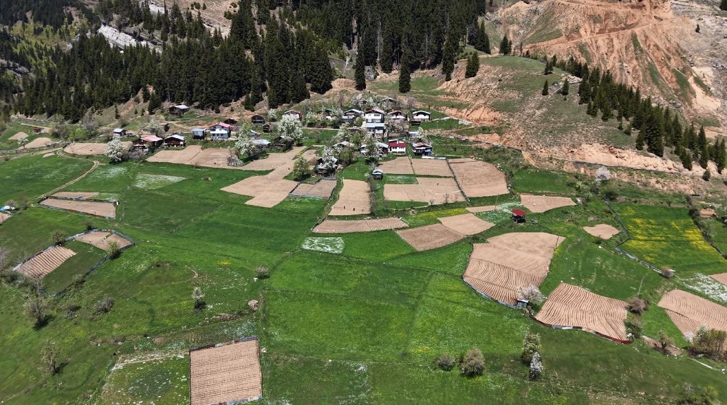 artvinde 1400 rakimda imece usulu dogal tarim 0 iaalDeYt