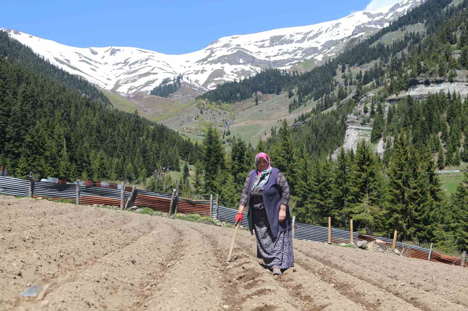 artvinde 1400 rakimda imece usulu dogal tarim 5 6TEYNEzy