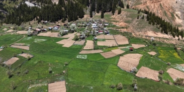 artvinde-1400-rakimda-imece-usulu-dogal-tarim-sQnpUJej.jpg