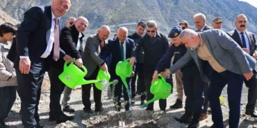 artvinde-450-butko-zeytini-fidani-toprakla-bulusturuldu-caCjAs6r.jpg