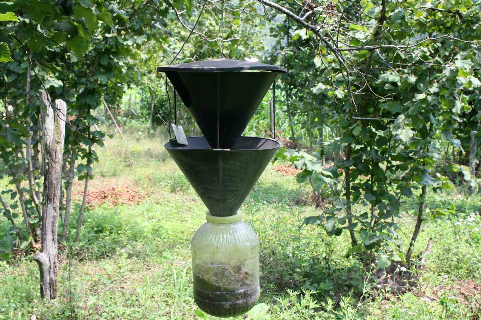 artvinde baslayan zararli marmaraya ulasti 8