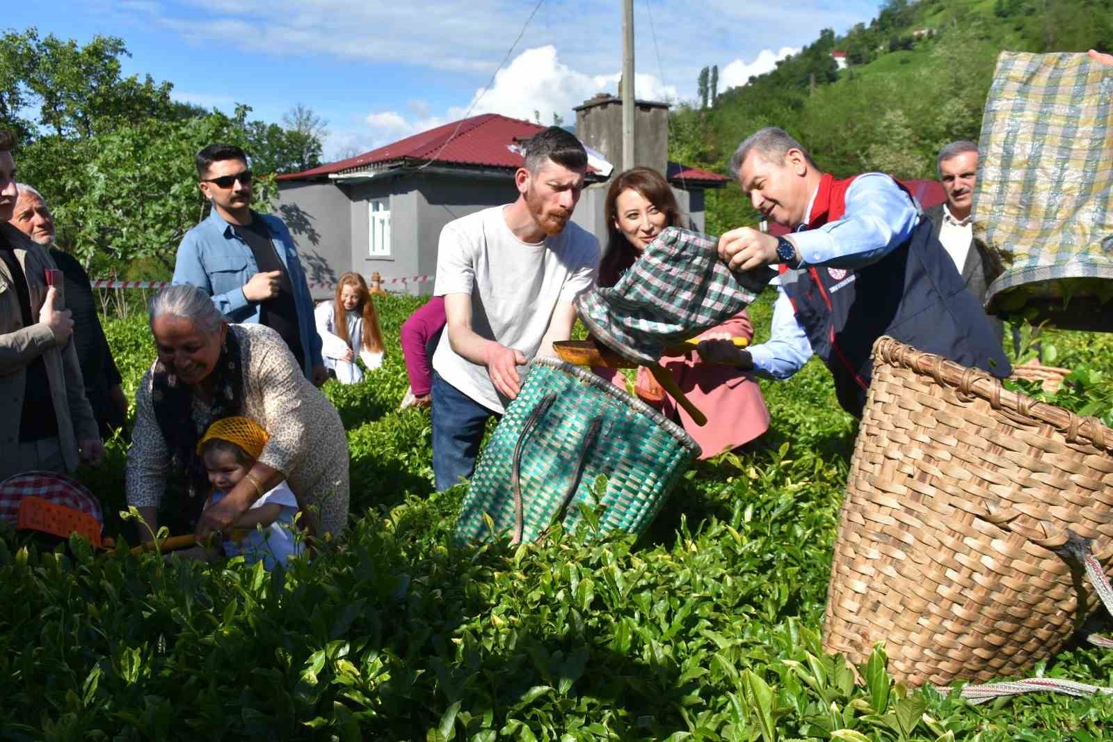 artvinde cay sezonu acildi 2 NR1XleqU
