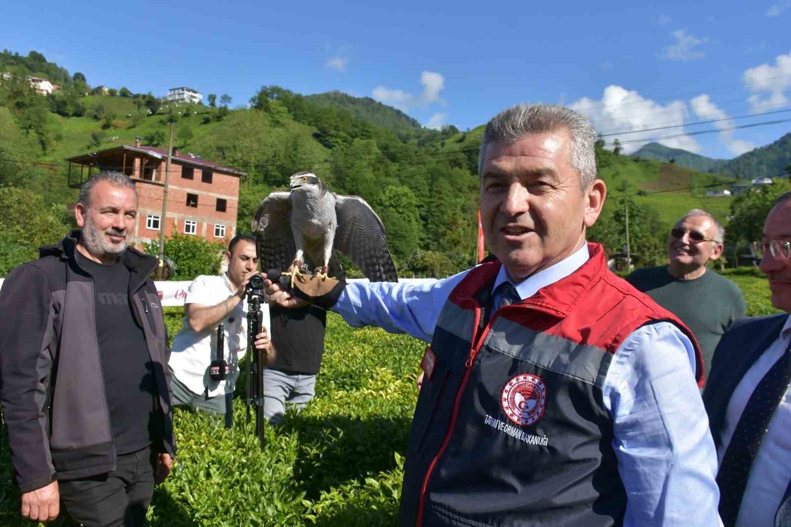 artvinde cay sezonu acildi 3 LYQGpwF5