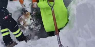 artvinde-cig-bolgesinde-arama-kurtarma-calismalari-ikinci-gunde-yeniden-basladi-PEHNfX3d.jpg